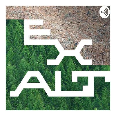 Markus Kröger - What path dependencies determine if a forest is Clearcut? (Clearcut book discussion)