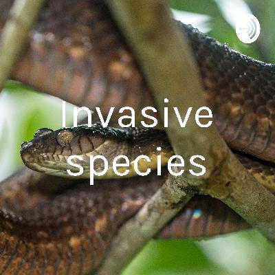 Invasive species
