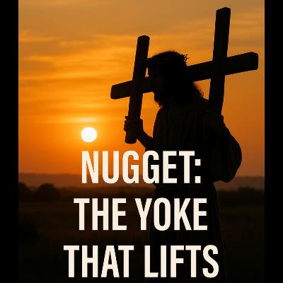 Wednesday's Nugget - November 19, 2025