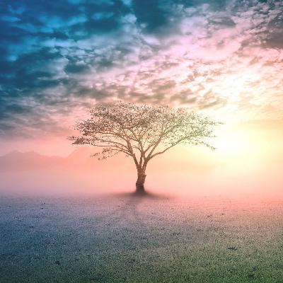 528hz Solfeggio Frequency Deep Healing Sleep Music | Fall Asleep Fast | 2 Hours