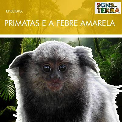 Os primatas e a febre amarela