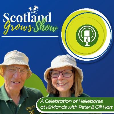 Scotland Grows Show S11 E5: A Celebration of Hellebores at Kirklands with Peter and Gill Hart Scotland Grows Show S11 E5: A Celebration of Hellebores at Kirklands with Peter and Gill Hart