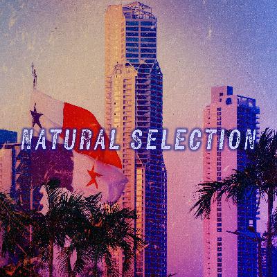 BONUS: Exclusive Interview with Nick Foster