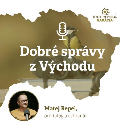 #26 Ako vyzerá vtáčí raj na Slovensku? #26 Ako vyzerá vtáčí raj na Slovensku?