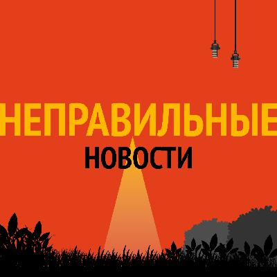 Неправильные новости за ноябрь 2025 года
