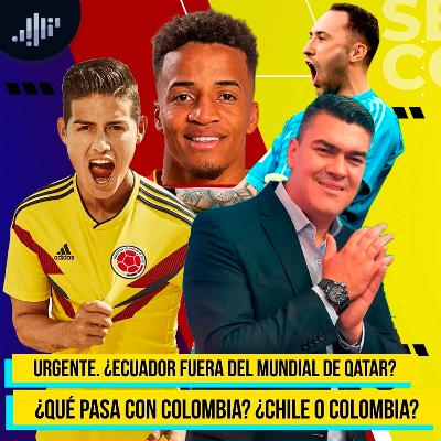 ¿Ecuador fuera del mundial de Qatar? | Pidan Domicilio