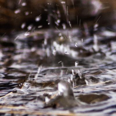 Piano Instrument Rain