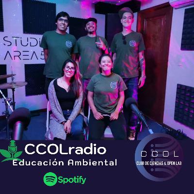 Educación Ambiental