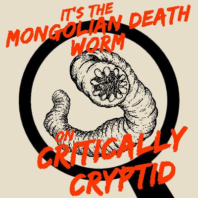 It's The Mongolian Death Worm! It's The Mongolian Death Worm!