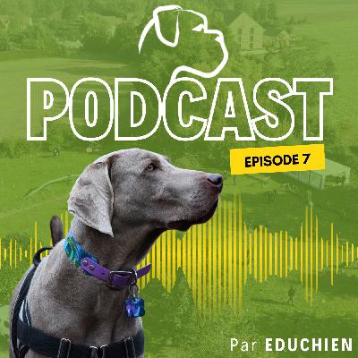 L'éducation, c'est avant tout une RELATION ! - EDUCHIEN PODCAST 🎙️