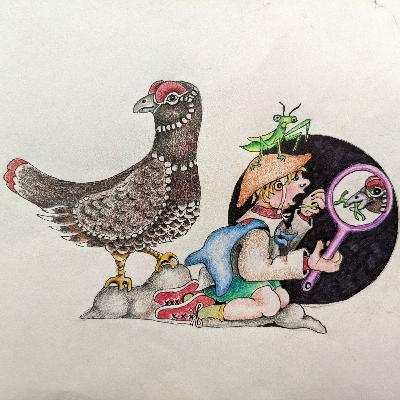 Grouse of the Okanogan