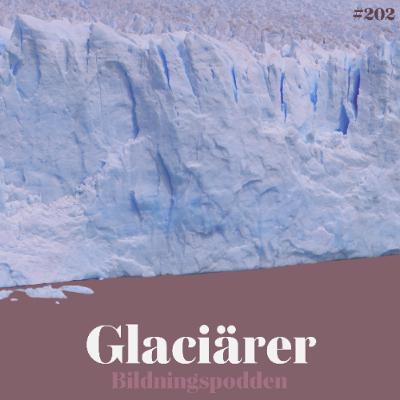 #202 Glaciärer