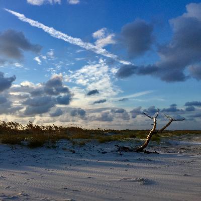 Fernandina ©2018 Alejandro Raul Gimenez