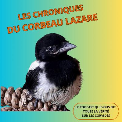 Tombé du nid? Vraiment ?
