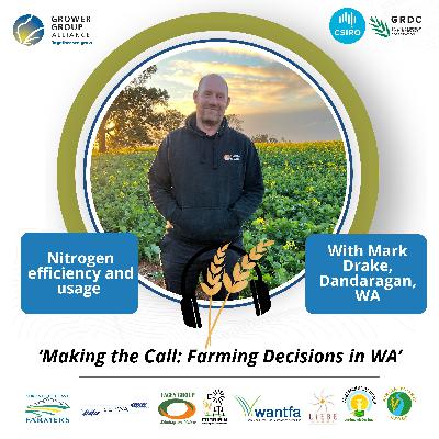 Making the Call, Farming Decisions in WA series: WMG shares Nitrogen decisions on sandy soils Making the Call, Farming Decisions in WA series: WMG shares Nitrogen decisions on sandy soils