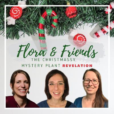 The Flora and Friends Christmassy Mystery Plant Revelation