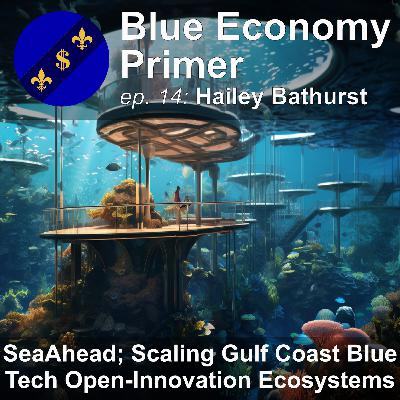 #14 - SeaAhead; Scaling BlueTech Open-Innovation Ecosystems on the Gulf Coast