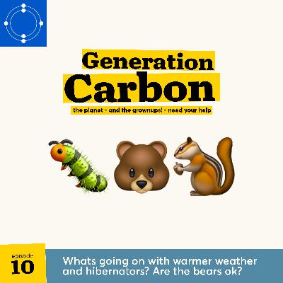 Whats going on with warmer weather and hibernators? Are the bears ok?