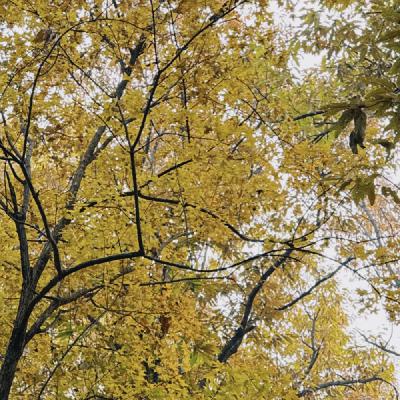 EP211: 11月好物推荐 - 冬训了，买点保暖装备吧！