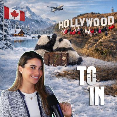 Canadá bajo la nieve, adiós a los pandas y Sydney Sweeney decide escalar el letrero de Hollywood