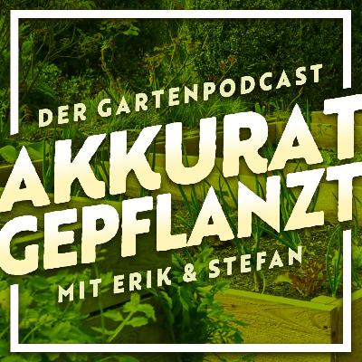 Episode 37: Die Mehrzahl von Jens