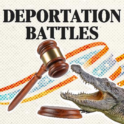 ‘Alligator Alcatraz’ Lawsuit, Labor Shortages Across US Farms, and What’s Next for Birthright Citizenship