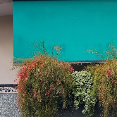 Alguien debería prohibir los domingos - Este domingo es un poema - 27/04/25 Alguien debería prohibir los domingos - Este domingo es un poema - 27/04/25