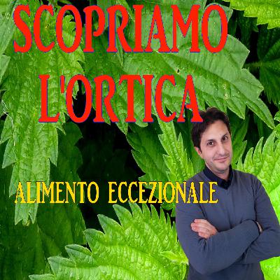 Episodio 96 - ORTICA UNA PIANTA CARICA DI SORPRESE? - Vediamolo Assieme Episodio 96 - ORTICA UNA PIANTA CARICA DI SORPRESE? - Vediamolo Assieme