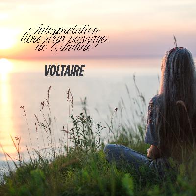 Citation du jour - interprétation libre-Candide-Voltaire