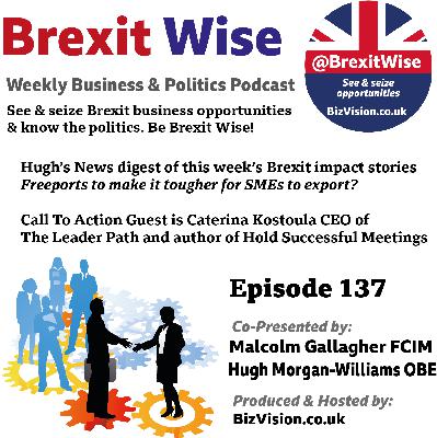 BrexitWise guest this episode is Caterina Kostoula on holding successful meetings