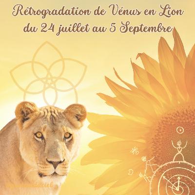 Vénus Rétrograde en Lion tout l'été Vénus Rétrograde en Lion tout l'été