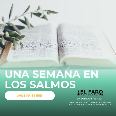 Plegaria de un afligido - Serie: Una semana en los Salmos