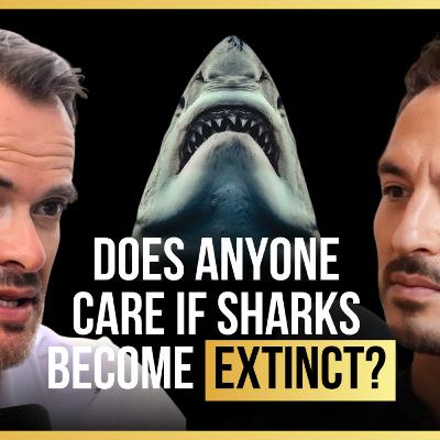 16. Does Anyone Care if Sharks Become Extinct? | ft. Andy Cornish