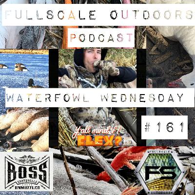 Waterfowl Wednesday #161