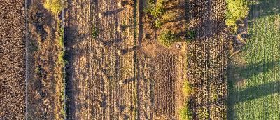 Wie werden Regionen zu Klimalandschaften?