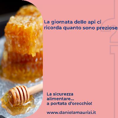 ST4_Ep.17 - La giornata delle api ci ricorda quanto sono preziose