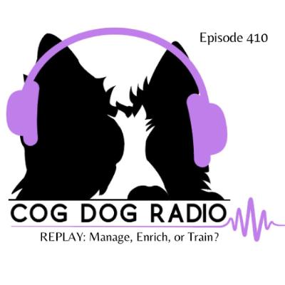 REPLAY: Manage, Enrich, or Train?