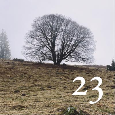 #23 - Hauts et bas