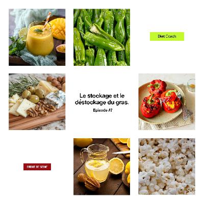 Diet Coach #7 - Le stockage et le destockage du gras
