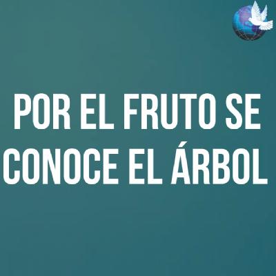 Por el fruto se conoce el árbol Por el fruto se conoce el árbol
