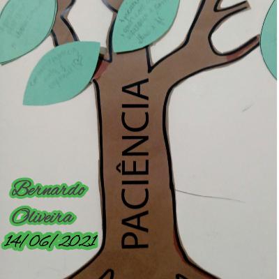 Paciência