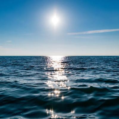 corriente de humboldt