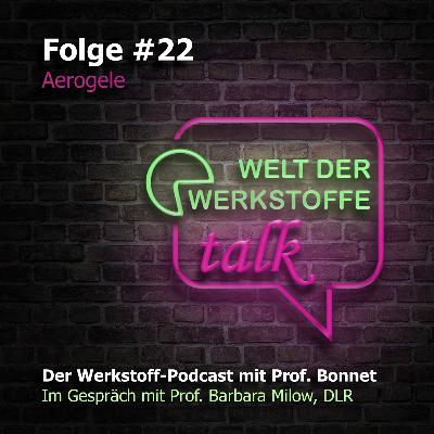 Welt der Werkstoffe - talk, Folge 22, Barbara Milow: Aerogele