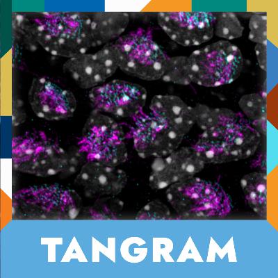 25 - Les conditions d'une bonne transition