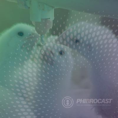 PhibroCast - Episódio 1: Coccidiose em frangos de corte