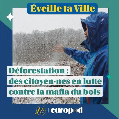 [Rediffusion] Déforestation : des citoyen·nes en lutte contre la mafia du bois
