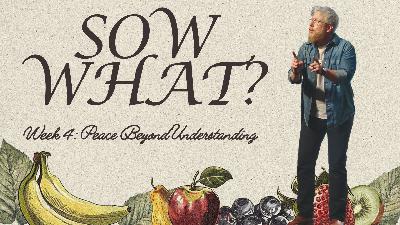Sow What?: Week 4: Peace Beyond Understanding