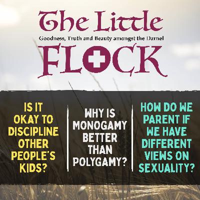 8. Why is monogamy better than polygamy? Is it okay to discipline other people’s kids? How do we parent if we disagree about sex? 8. Why is monogamy better than polygamy? Is it okay to discipline other people’s kids? How do we parent if we disagree about sex?