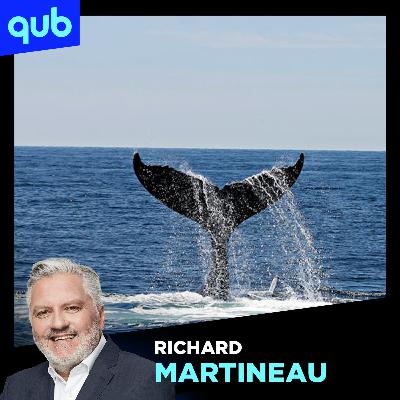 Même au fond des océans, l’humanité pollue