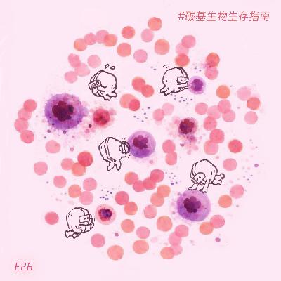 E26 我们还需要恐惧癌症吗?从分子机制到现实体验,我们为何会患癌,如何治癌,怎样防癌 E26 我们还需要恐惧癌症吗?从分子机制到现实体验,我们为何会患癌,如何治癌,怎样防癌